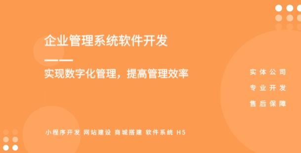 企業(yè)管理系統(tǒng)軟件開(kāi)發(fā)